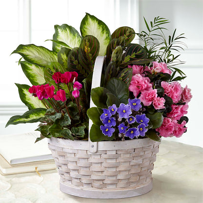 Peaceful Garden Planter – DANNY'S FLOWERS & GIFTS, Livonia MI