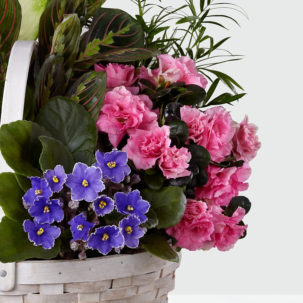 Peaceful Garden Planter – DANNY'S FLOWERS & GIFTS, Livonia MI