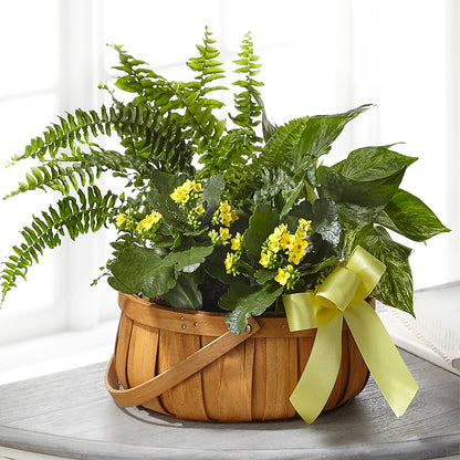 Always Dear Dishgarden – DANNY'S FLOWERS & GIFTS, Livonia MI