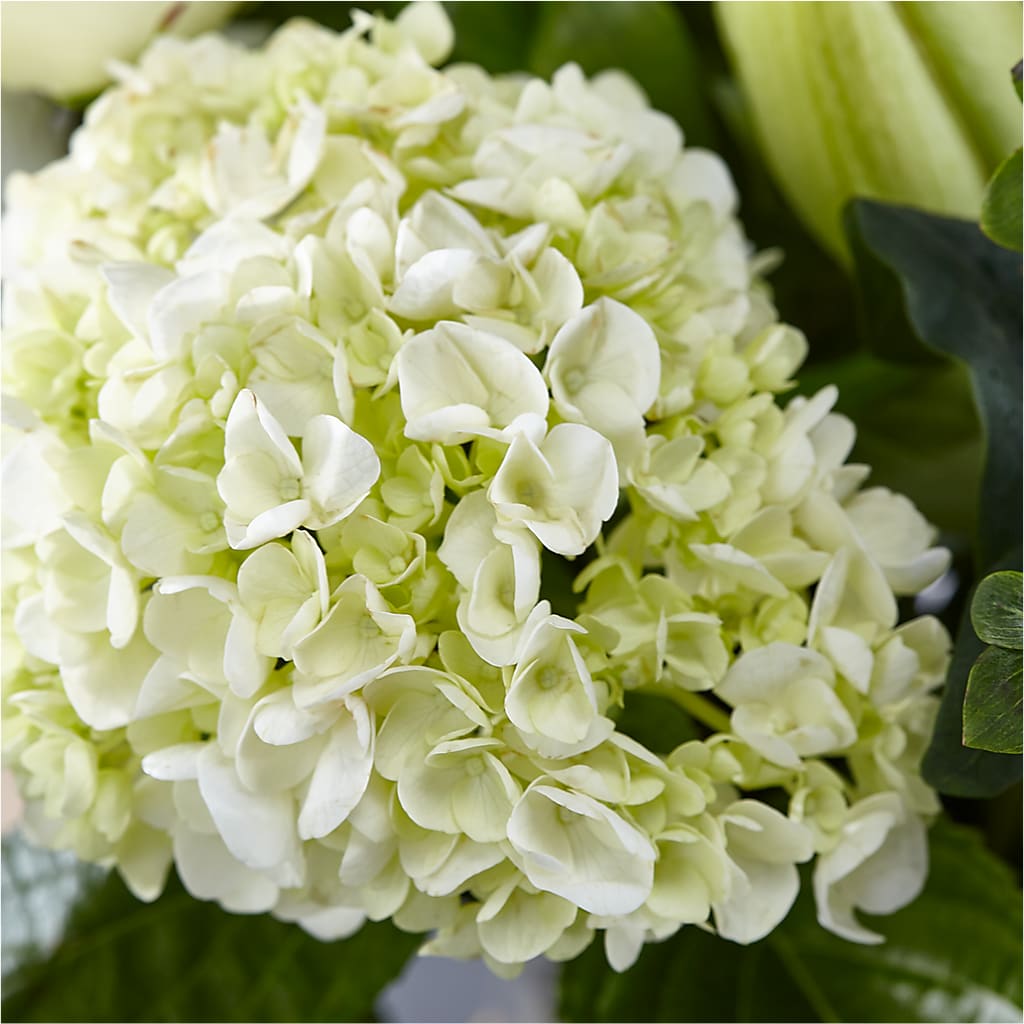 Classic Ivory – A Florist Original – DANNY'S FLOWERS & GIFTS, Livonia MI