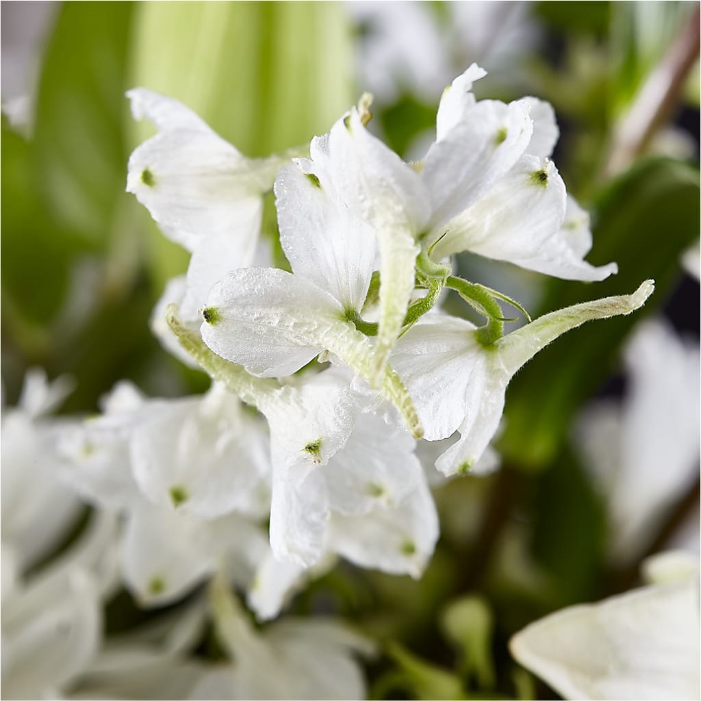 Classic Ivory – A Florist Original – DANNY'S FLOWERS & GIFTS, Livonia MI
