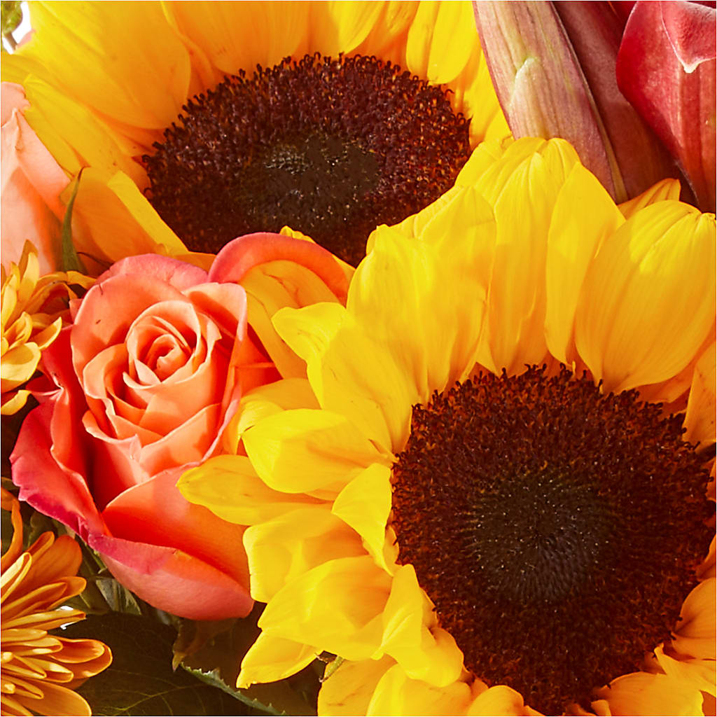 Acorn Lane Bouquet – DANNY'S FLOWERS & GIFTS, Livonia MI