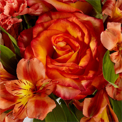 Apricot Glow Bouquet – DANNY'S FLOWERS & GIFTS, Livonia MI