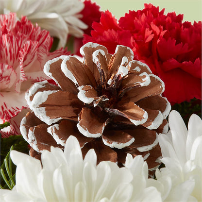 Candy Cane Lane Bouquet – DANNY'S FLOWERS & GIFTS, Livonia MI