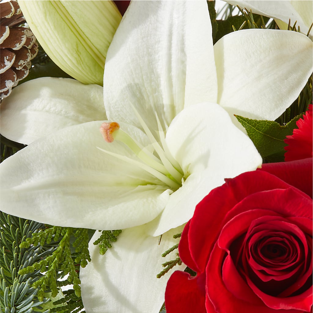 Oh So Jolly Bouquet – DANNY'S FLOWERS & GIFTS, Livonia MI