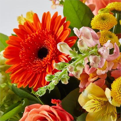 Autumn Sunshine Bouquet – DANNY'S FLOWERS & GIFTS, Livonia MI
