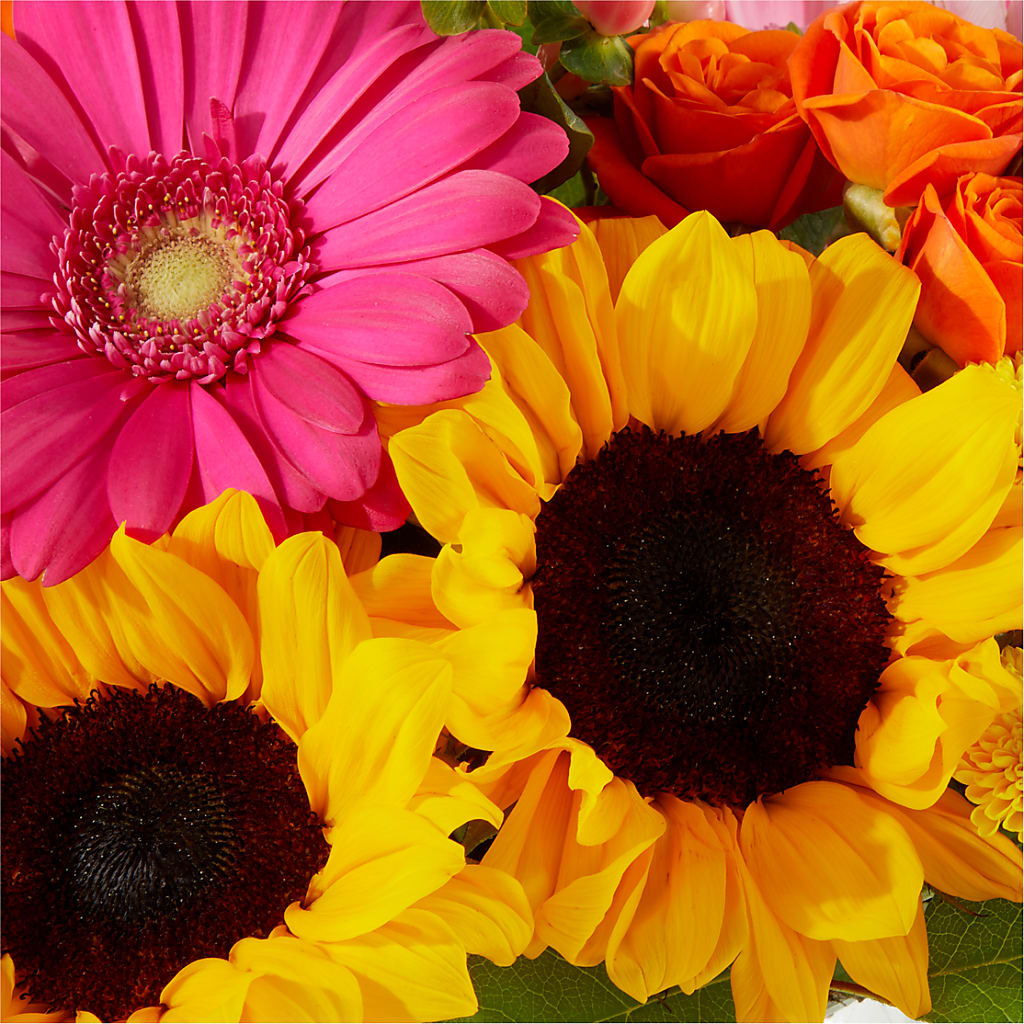 Beach Day Bouquet – DANNY'S FLOWERS & GIFTS, Livonia MI
