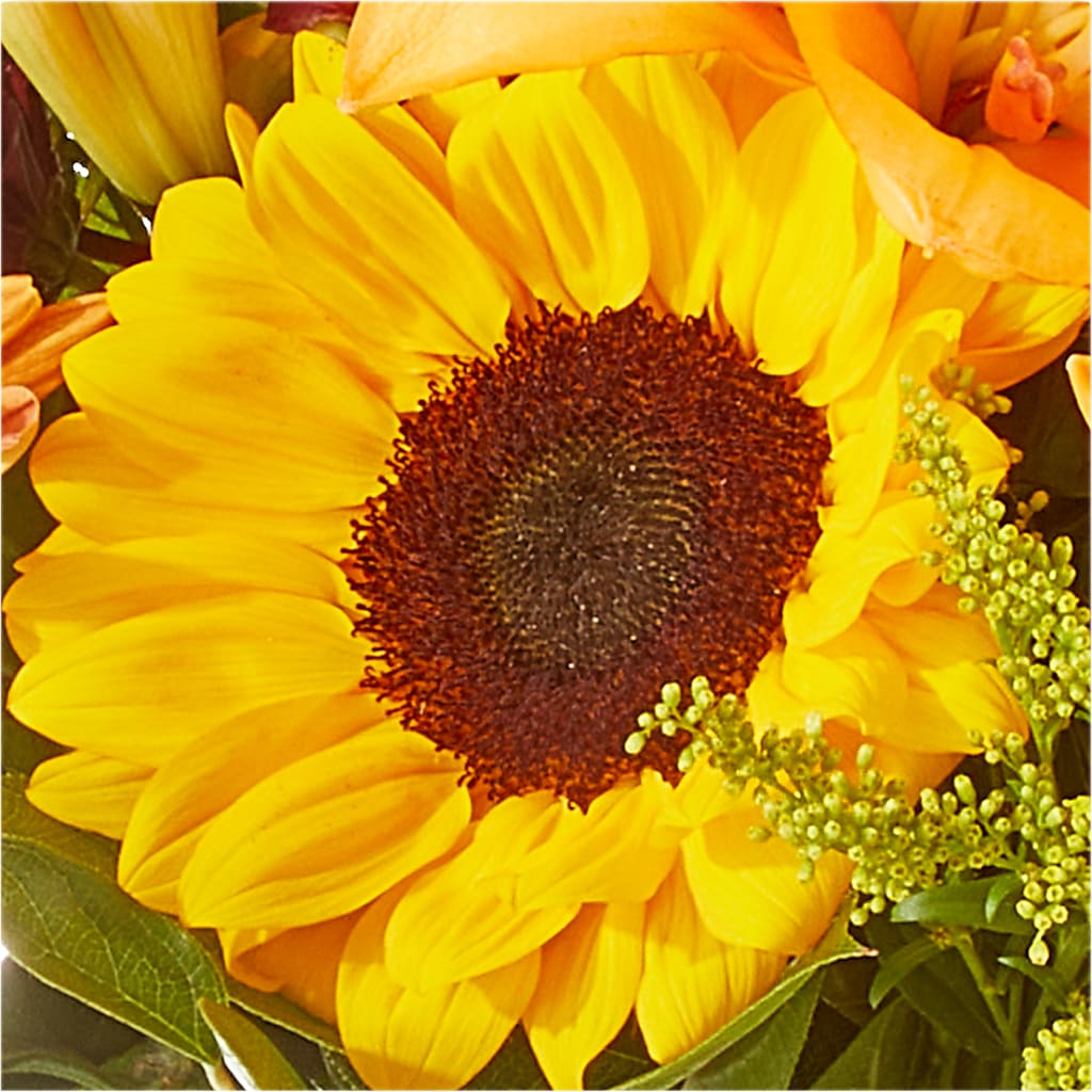 Seasons Change Bouquet – DANNY'S FLOWERS & GIFTS, Livonia MI