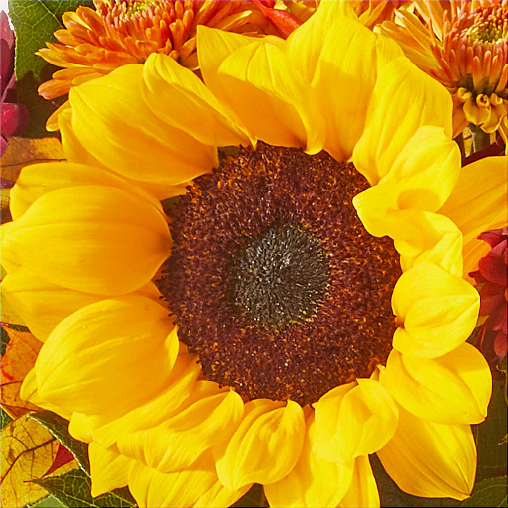 Sunny Side Bouquet – DANNY'S FLOWERS & GIFTS, Livonia MI
