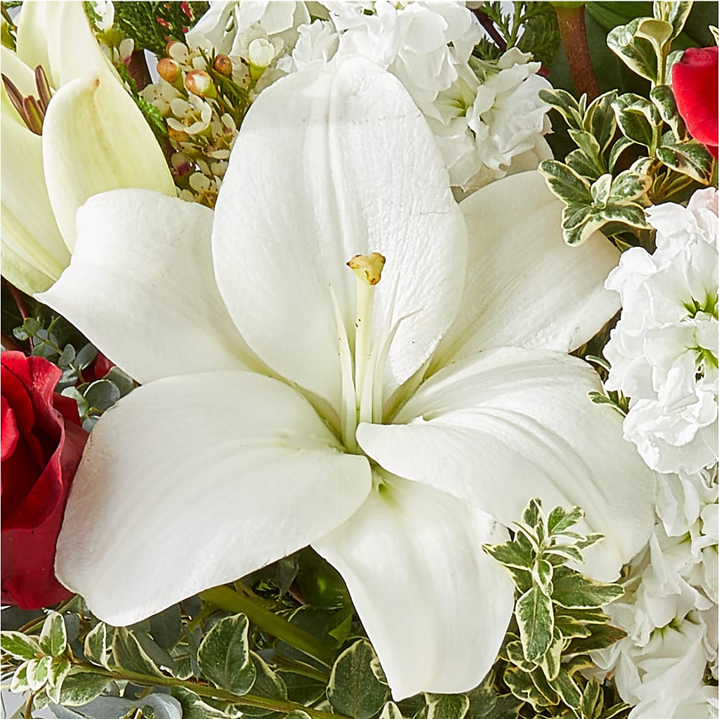 Twinkle Lights Bouquet – DANNY'S FLOWERS & GIFTS, Livonia MI