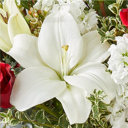 Twinkle Lights Bouquet – DANNY'S FLOWERS & GIFTS, Livonia MI