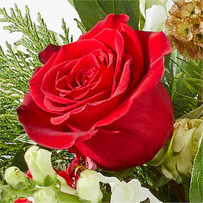 Deck the Halls Bouquet – DANNY'S FLOWERS & GIFTS, Livonia MI