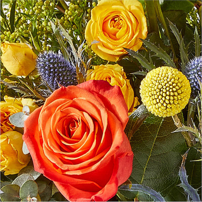 Disco Bouquet – DANNY'S FLOWERS & GIFTS, Livonia MI