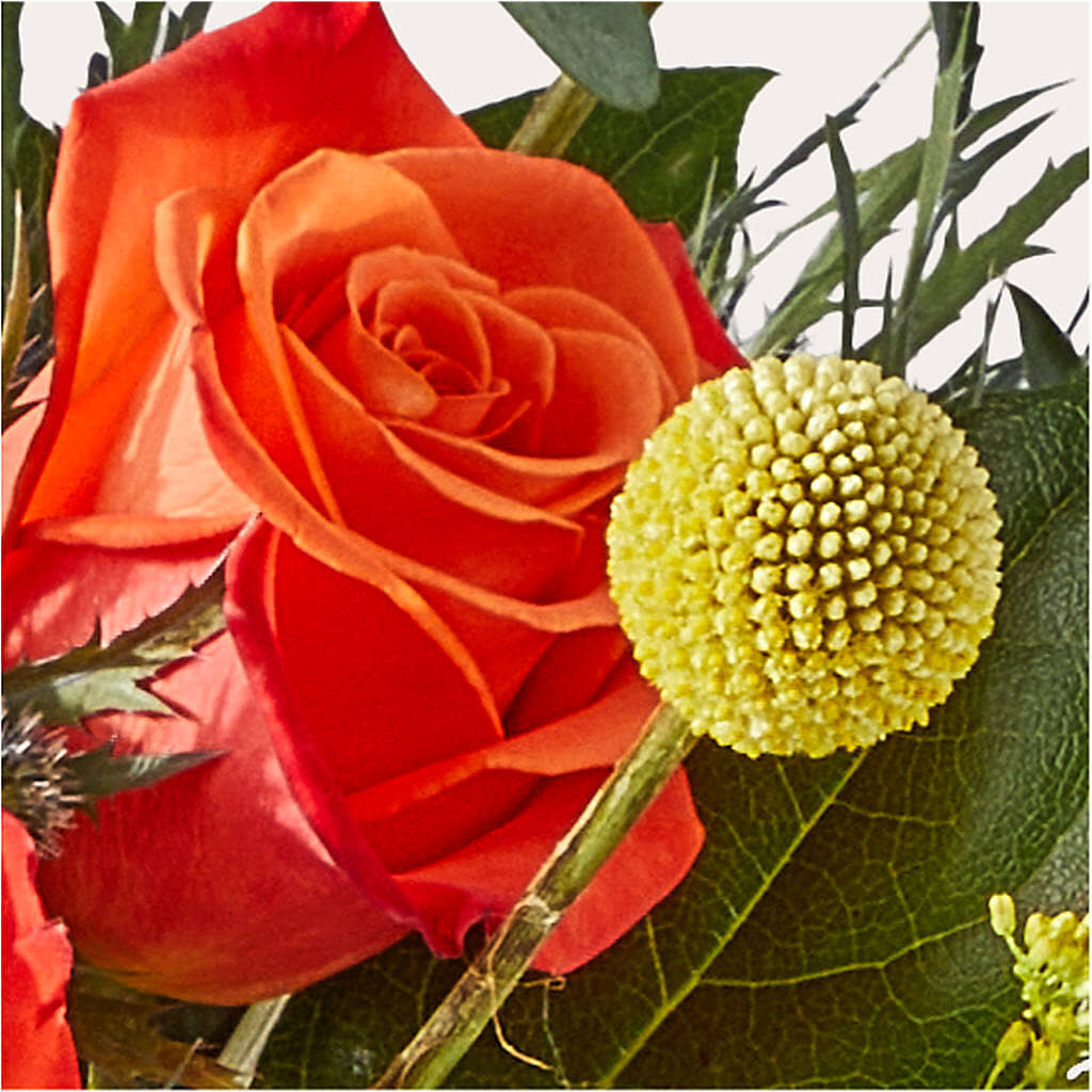 Disco Bouquet – DANNY'S FLOWERS & GIFTS, Livonia MI