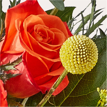 Disco Bouquet – DANNY'S FLOWERS & GIFTS, Livonia MI