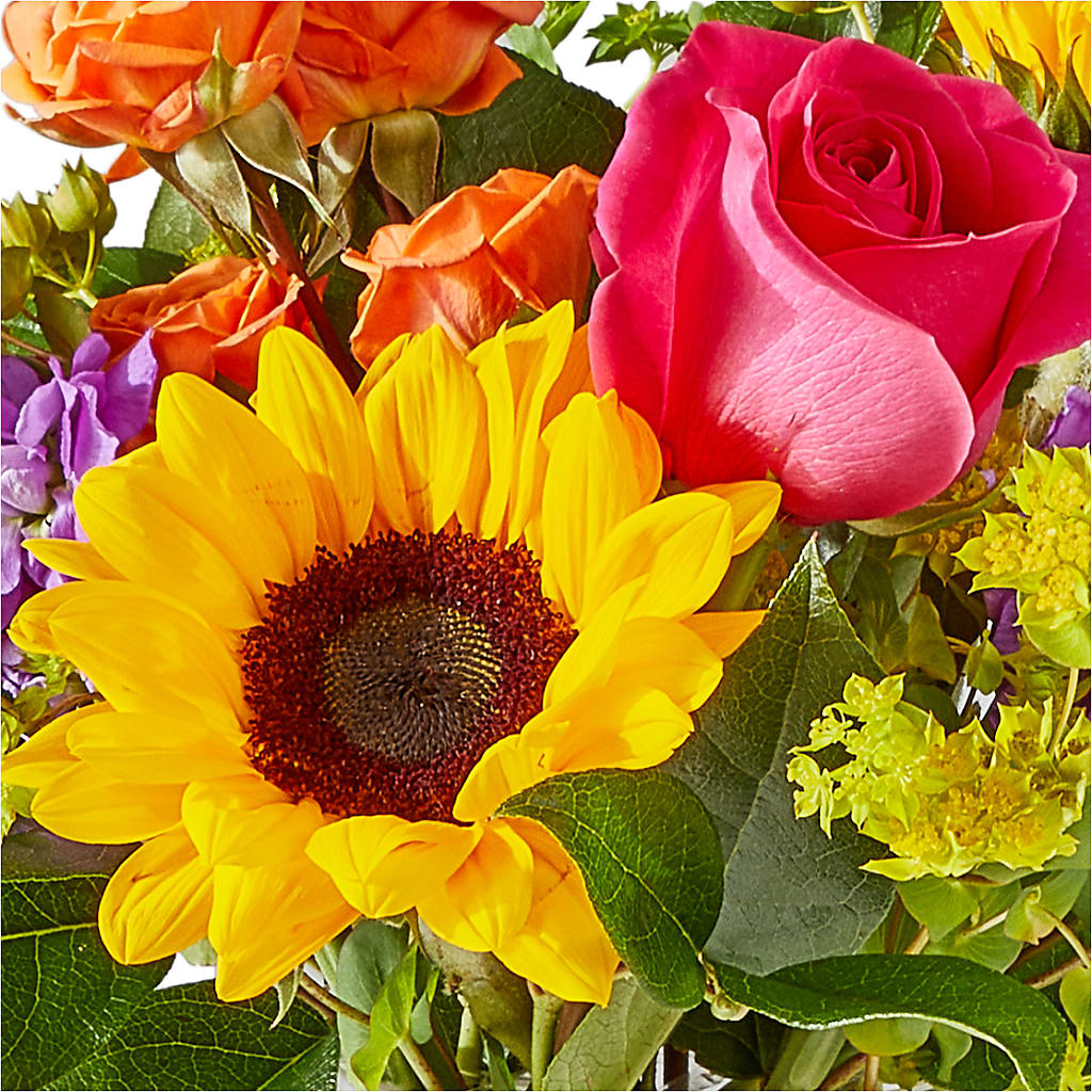 Vibrant Greetings Bouquet – DANNY'S FLOWERS & GIFTS, Livonia MI