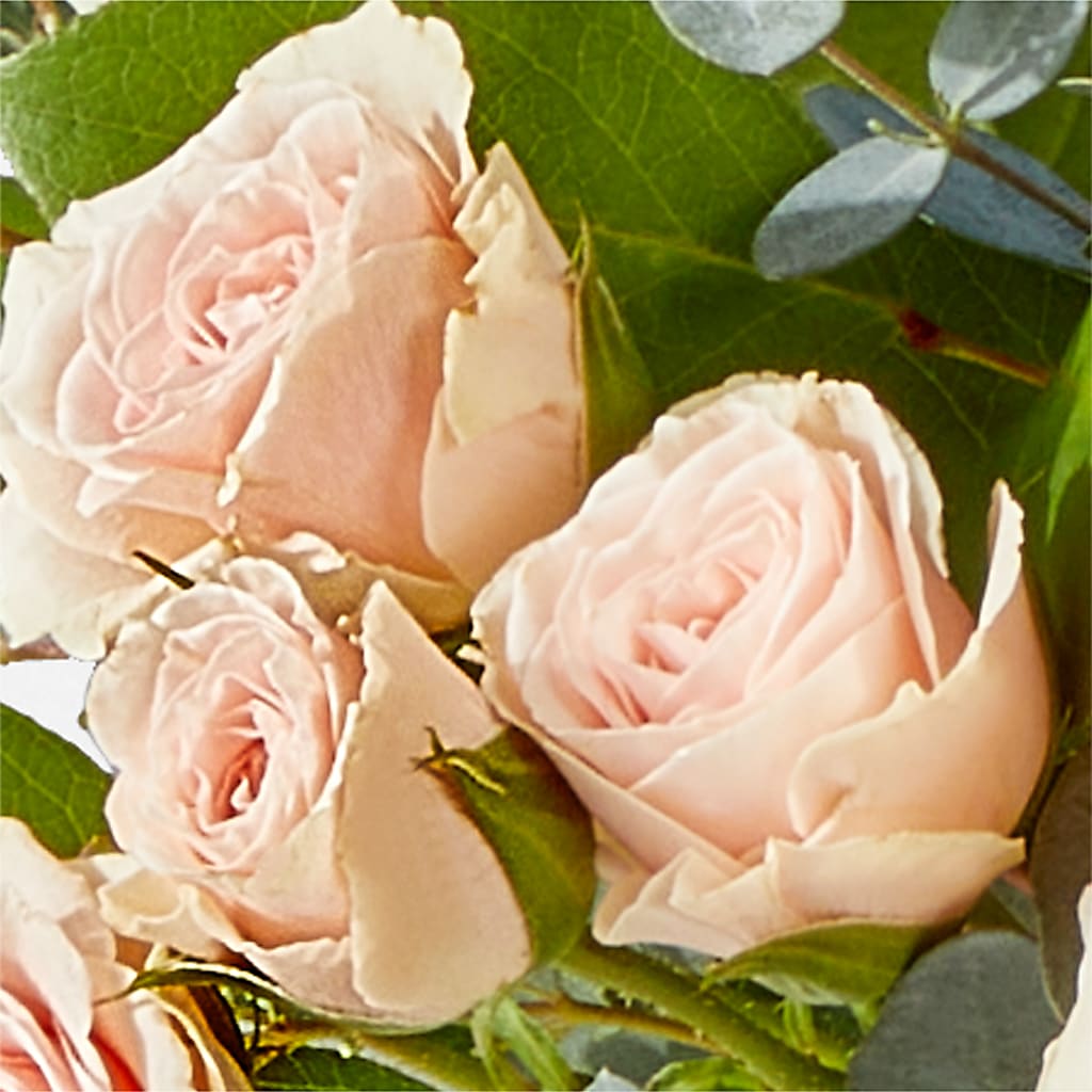 Inspired Bouquet – DANNY'S FLOWERS & GIFTS, Livonia MI