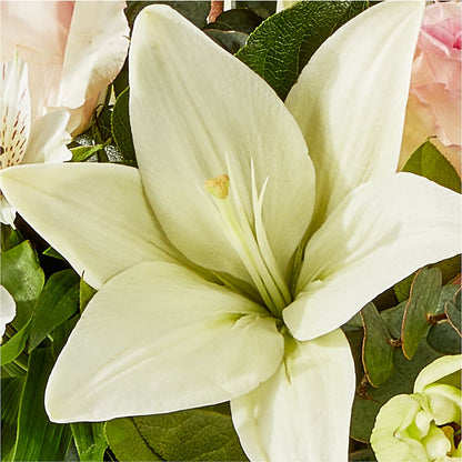 Ballet Slippers Bouquet – DANNY'S FLOWERS & GIFTS, Livonia MI