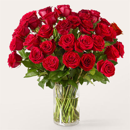 The One Red Rose Bouquet – DANNY'S FLOWERS & GIFTS, Livonia MI