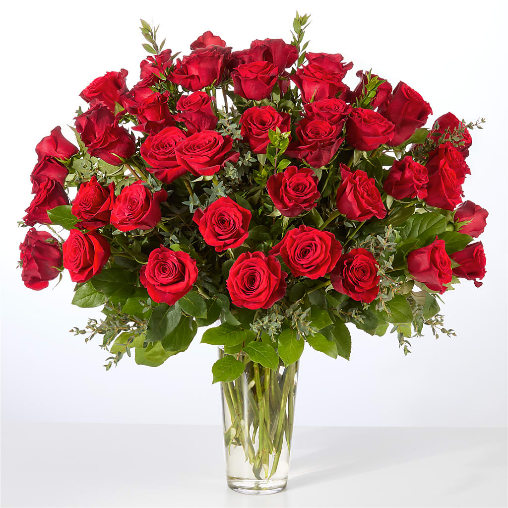 Forever Yours Fifty Stem Red Rose Bouquet – DANNY'S FLOWERS & GIFTS, Livonia MI