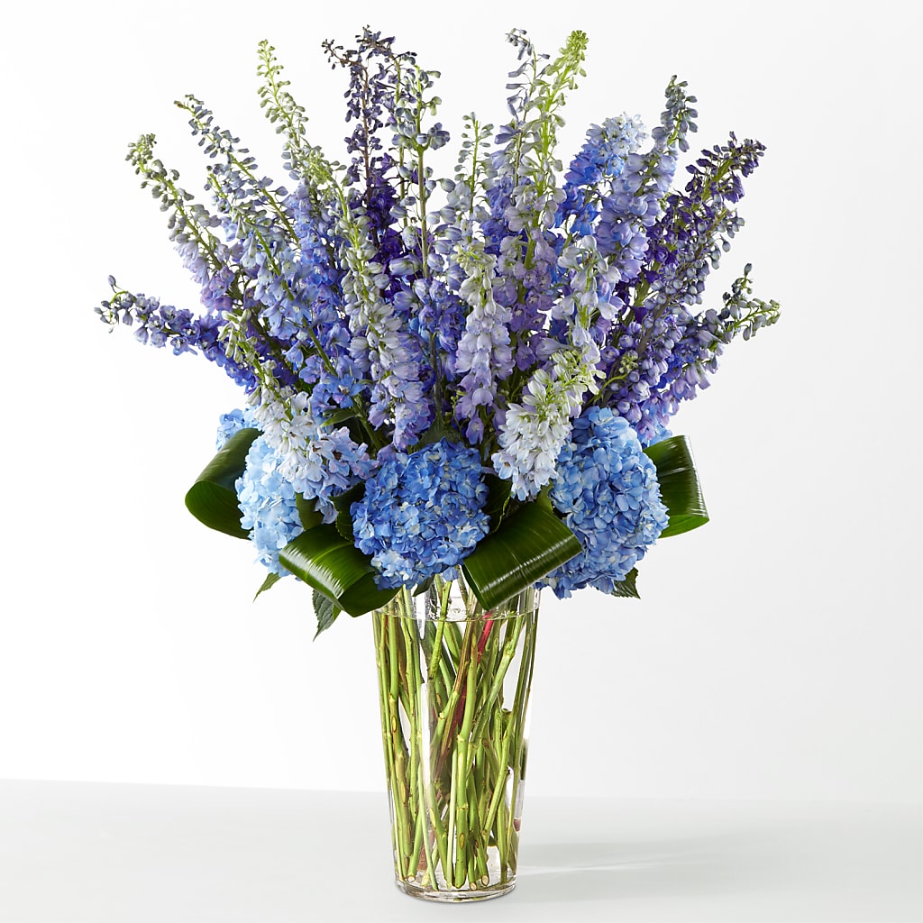The Editorial – DANNY'S FLOWERS & GIFTS, Livonia MI