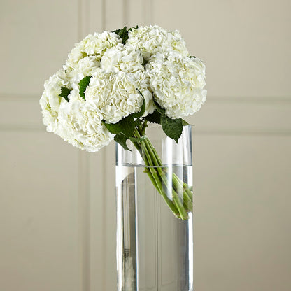 White Hydrangea Hand-Tied Bouquet – DANNY'S FLOWERS & GIFTS, Livonia MI