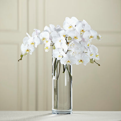White Phalaenopsis Bouquet – DANNY'S FLOWERS & GIFTS, Livonia MI