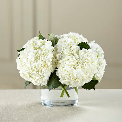 White Hydrangea Bouquet – DANNY'S FLOWERS & GIFTS, Livonia MI